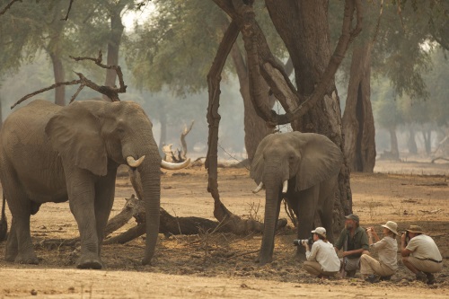 Mana Pools 001